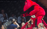 Western Kentucky Hilltoppers cheerleaders hold their mascot Big Red as they perform - © Caitie McMekin / USA TODAY NETWORK