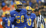 Pittsburgh Panthers defensive lineman Dayon Hayes (50) reacts after recording a sack against the Clemson Tigers during the second quarter at Heinz Field