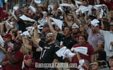 Fans cheer at a South Carolina football game (Photo: CJ Driggers | GamecockCentral.com)