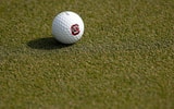 Golf ball with Gamecocks logo (Photo: GamecocksOnline.com)