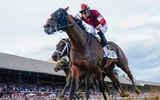 Jun 8, 2024; Saratoga Springs, NY, USA; Dornoch with Luis Saez up (6) wins the Belmont Stakes at Saratoga Race Course. (Gregory Fisher-USA TODAY Sports)