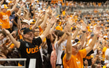 Tennessee baseball fans. Credit: Saul Young/News Sentinel / USA TODAY NETWORK