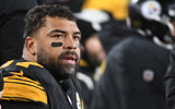 cam heyward steelers
