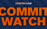 commitwatch afi