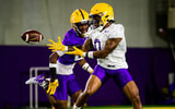 Zavion Thomas LSU