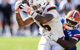 Florida-Gators-Grayson-Pup-Howard