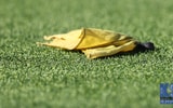 Penalty flag - Dr. Michael Huang, Kentucky Sports Radio