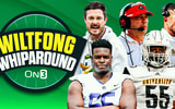 Wiltfong-Whiparound-10