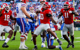 Damon Wilson Georgia