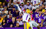 Ashton Stamps LSU