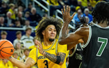 Tre Donaldson Michigan
