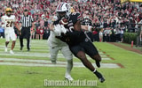 South Carolina tight end Michael Smith catching a key touchdown pass against Missouri. Photo by: CJ Driggers | GamecockCentral