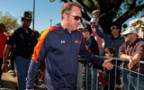 Hugh Freeze, Auburn