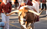 NCAA Football: Florida at Texas
