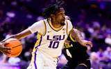 Daimion Collins LSU