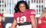 Madden Faraimo 5 copy 1