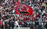 gamecock-flag_54160707845_o-South Carolina Gamecocks football vs Wofford Terriers-Nov 23 2024-Credit Katie Dugan GamecockCentral