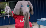 Alabama mascot Big Al