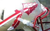 Florida State Helmet