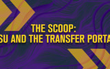 Who could be the next transfers to commit to LSU from the portal?