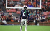 NCAA Football: New Mexico at Auburn