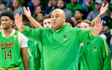 Micah Shrewsberry, Notre Dame