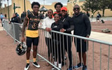 The Browns