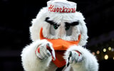 Sebastian the Ibis Miami mascot female
