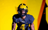 Tevis Metcalf