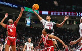 south carolina gamecocks womens basketball joyce edwards