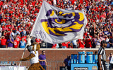 LSU Tigers logo on a flag