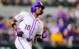 michael braswell LSU
