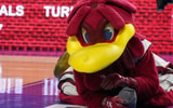 South Carolina Gamecocks mascot Cocky during the second half against the LSU Lady Tigers at Bon Secours Wellness Arena. Mandatory Credit: Jim Dedmon-Imagn Images