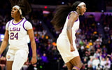 (Photo: LSU Athletics)