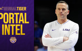 LSU Matt McMahon