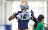 tae johnson