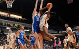 Duke Blue Devils forward Toby Fournier (35) defends a shot by South Carolina Gamecocks guard Raven Johnson (25) at Legacy Arena. South Carolina defeated Duke 54-50 to advance to the Final Four. Mandatory Credit: Gary Cosby Jr.-Tuscaloosa News