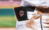South Carolina baseball