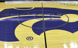 Kansas State Logo (Court)