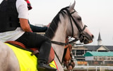 Sandman prepares for the Kentucky Derby at Churchill Downs, via © Michael Clevenger:Courier Journal : USA TODAY NETWORK via Imagn Images