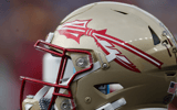 florida state helmet