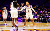 LSU's Mjracle Sheppard became the sixth player to enter the NCAA Transfer Portal (Photo: LSU Athletics)