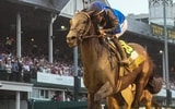 Sovereignty wins the 2025 Kentucky Derby