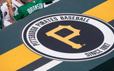pittsburgh pirates fan
