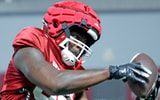 TE Davon Mitchell