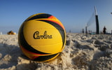south carolina gamecocks volleyball