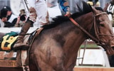 Sovereignty (151st Kentucky Derby)