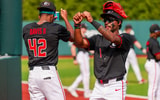 Georgia Baseball