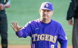 jay johnson lsu