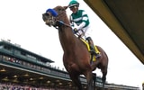 Flightline wins the Breeders' Cup Classic at Keeneland, via Michael Clevenger and Christopher Granger:Courier Journal : USA TODAY NETWORK